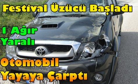 ÇAM FESTİVALİ ÜZÜCÜ BAŞLADI