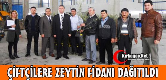 Çiftçilere Zeytin Fidanı Dağıtıldı 