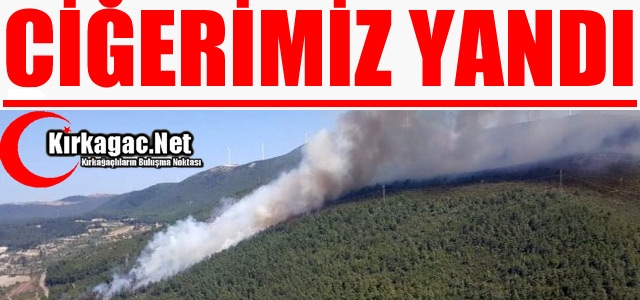 CİĞERİMİZ YANDI...