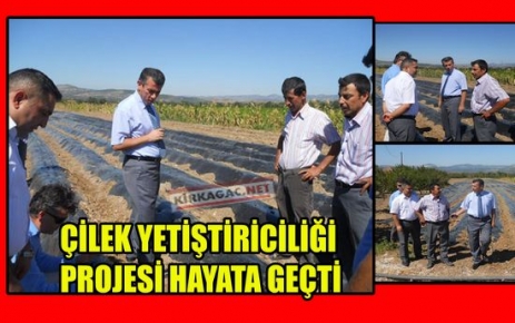 “ÇİLEK YETİŞTİRİCİLİĞİ” PROJESİ HAYATA GEÇTİ