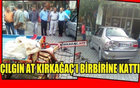 ÇILGIN AT KIRKAĞAÇ’I BİRBİRİNE KATTI