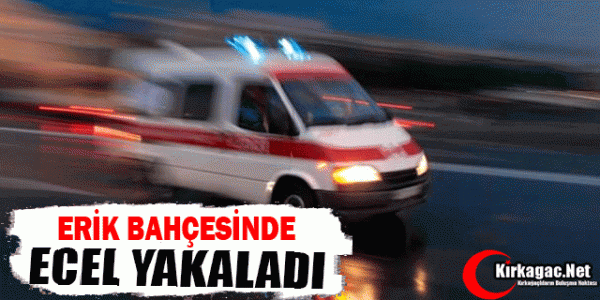 ECEL ERİK BAHÇESİNDE YAKALADI