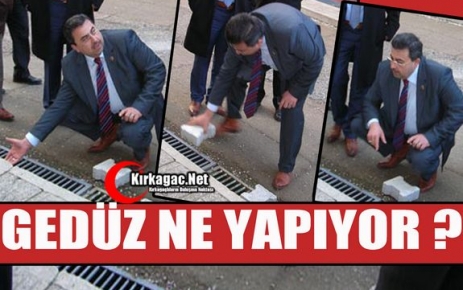 GEDÜZ BÖYLE NE YAPIYOR ?