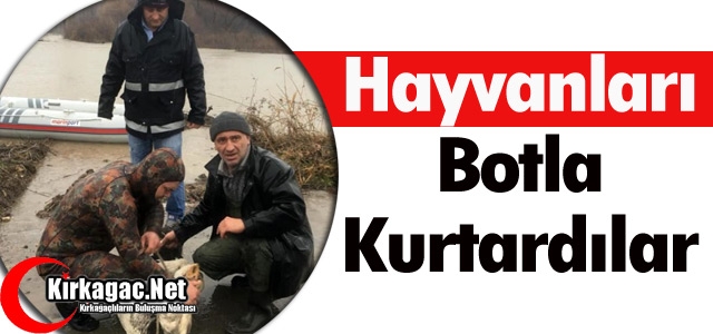 HAYVANLARI BOTLA KURTARDILAR