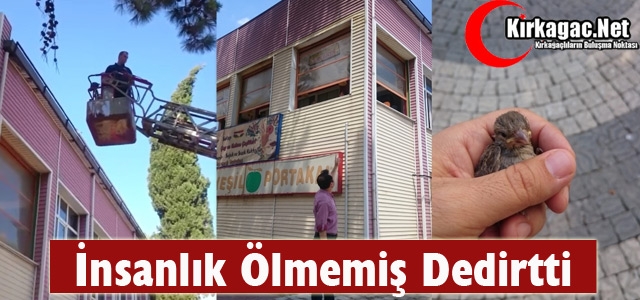 İNSALIK ÖLMEMİŞ DEDİRTTİ