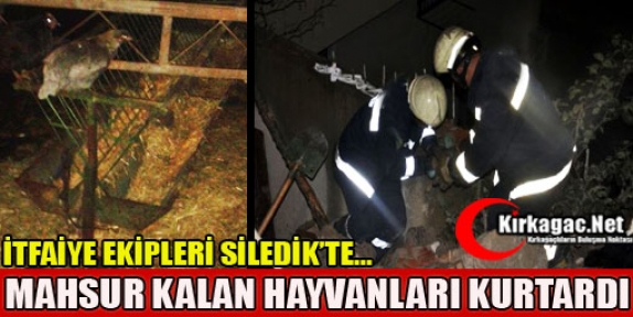 İTFAİYE EKİPLERİ SİLEDİK’TE MAHSUR KALAN HAYVANLARI KURTARDI