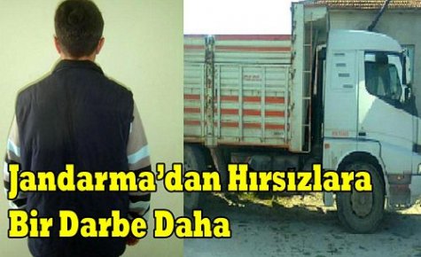 JANDARMA'DAN HIRSIZLARA BİR DARBE DAHA