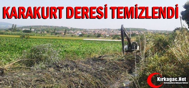 KARAKURT DERESİ TEMİZLENDİ