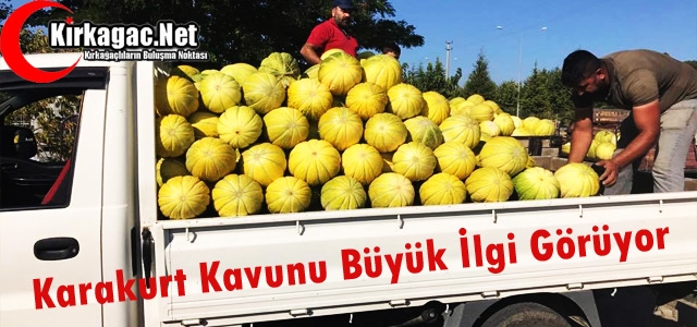 KARAKURT KAVUNUNA BÜYÜK İLGİ