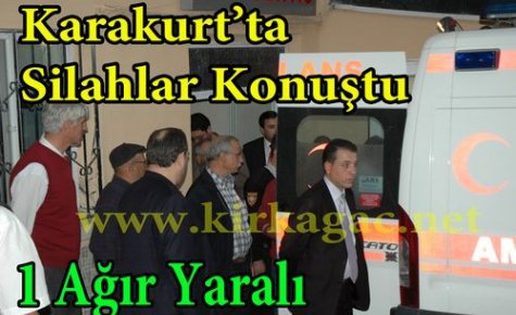 (SON DAKİKA)KARAKURT'TA SİLAHLAR KONUŞTU 1 AĞIR YARALI