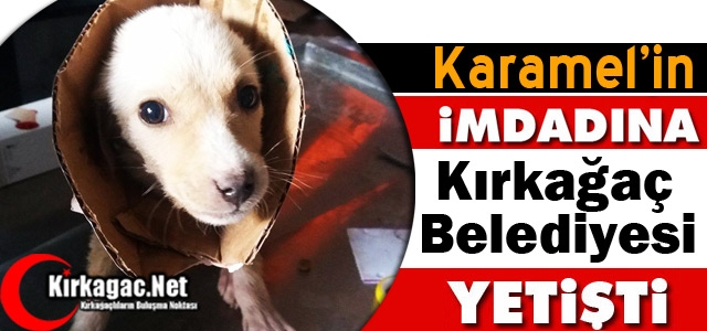 KARAMEL’İN İMDADINA KIRKAĞAÇ BELEDİYESİ YETİŞTİ