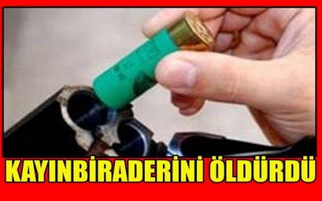 KAYINBİRADERİNİ ÖLDÜRDÜ