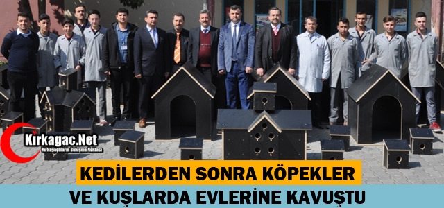 KEDİLERDEN SONRA KÖPEK ve KUŞLARDA EVLERİNE KAVUŞTU