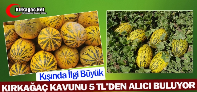 KIRKAĞAÇ KAVUNU 5 TL’DEN ALICI BULUYOR