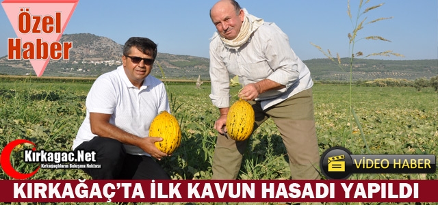 KIRKAĞAÇ KAVUNUNDA İLK HASAT YAPILDI(ÖZEL HABER)