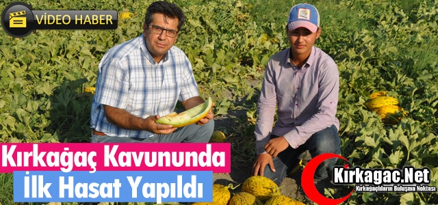 KIRKAĞAÇ KAVUNUNDA İLK HASAT YAPILDI(VİDEO)