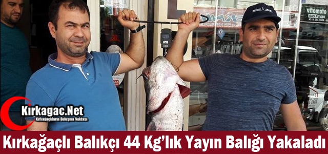 KIRKAĞAÇLI BALIKÇI 44 KG'LIK YAYIN BALIĞI YAKALADI