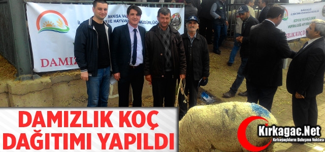 KIRKAĞAÇLI HAYVAN YETİŞTİRİCİLERİ DAMIZLIK KOÇLARINA KAVUŞTU