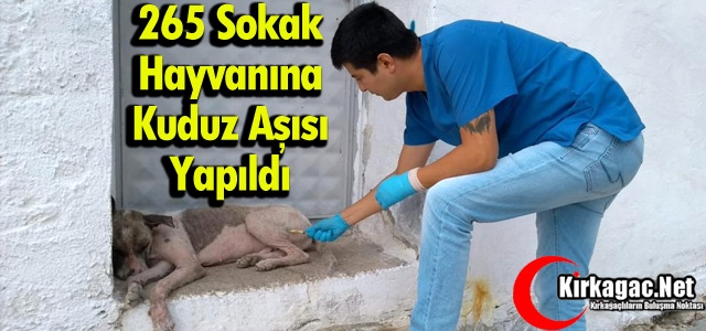 KIRKAĞAÇ’TA 265 SOKAK HAYVANINA KUDUZ AŞISI YAPILDI