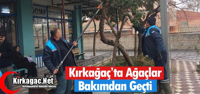 KIRKAĞAÇ'TA AĞAÇLAR BAKIMDAN GEÇTİ