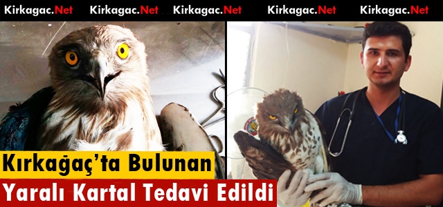 KIRKAĞAÇ’TA BULUNAN YARALI KARTAL TEDAVİ EDİLDİ