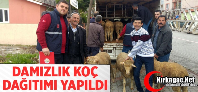 KIRKAĞAÇ’TA DAMIZLIK KOÇ DAĞITIMI YAPILDI 