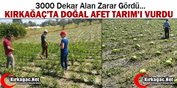 KIRKAĞAÇ’TA DOĞAL AFET TARIM'I VURDU