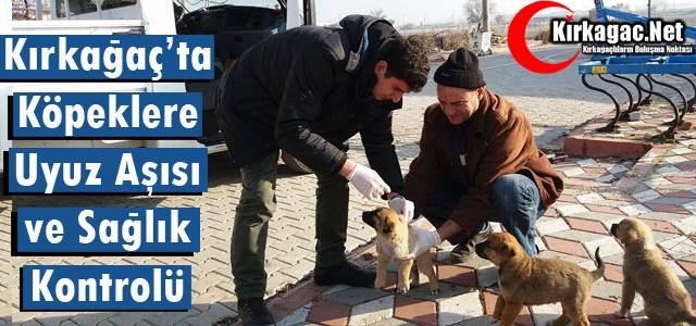 KIRKAĞAÇ'TA KÖPEKLERE UYUZ AŞISI VE SAĞLIK KONTROLÜ