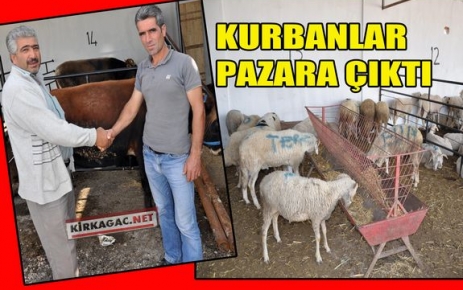 KIRKAĞAÇ'TA KURBANLAR PAZARA ÇIKTI