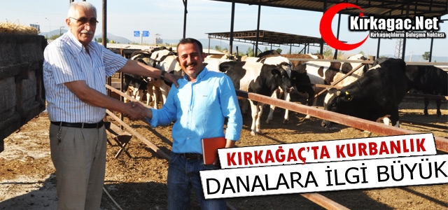 KIRKAĞAÇ'TA KURBANLIK DANALARA İLGİ BÜYÜK