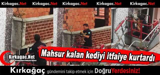 KIRKAĞAÇ'TA MAHSUR KALAN KEDİYİ İTFAİYE KURTARDI