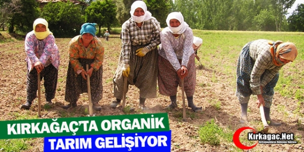 KIRKAĞAÇ'TA ORGANİK TARIM GELİŞİYOR