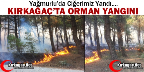 KIRKAĞAÇ’TA ORMAN YANGINI