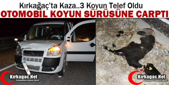 KIRKAĞAÇ’TA OTOMOBİL KOYUN SÜRÜSÜNE ÇARPTI