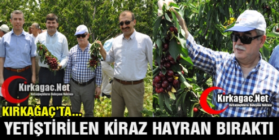 KIRKAĞAÇ’TA ÜRETİLEN KİRAZ HAYRAN BIRAKTI