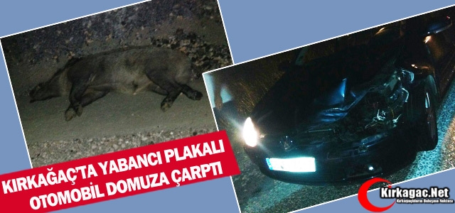 KIRKAĞAÇ’TA YABANCI PLAKALI OTOMOBİL DOMUZA ÇARPTI