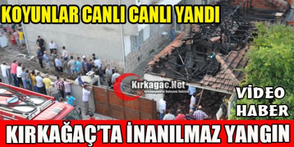 KIRKAĞAÇ'TA YANGIN..KOYUNLAR CANLI CANLI YANDI(VİDEO)