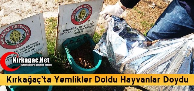 KIRKAĞAÇ’TA YEMLİKLER DOLDU HAYVANLAR DOYDU