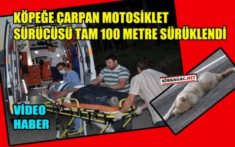 KÖPEĞE ÇARPTI, 100 METRE SÜRÜKLENDİ(VİDEO)