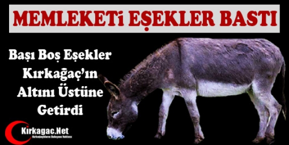 MEMLEKETİ EŞEKLER BASTI