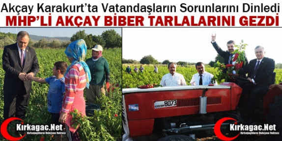 MHP’Lİ AKÇAY KARAKURT’TA BİBER TARLALARINI GEZDİ