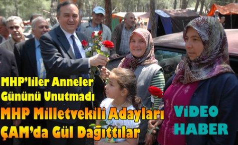 MHP’liler “ÇAM”da 2 Bin Gül Dağıttı(VİDEO)