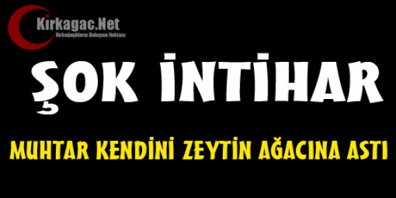 MUHTAR KENDİNİ ZEYTİN AĞACINA ASTI