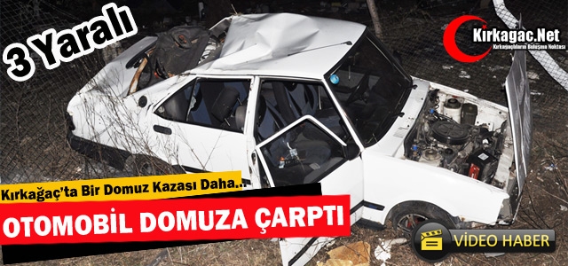 OTOMOBİL DOMUZA ÇARPTI 3 YARALI(VİDEO)