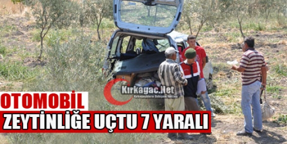 OTOMOBİL ZEYTİNLİĞE UÇTU 7 YARALI