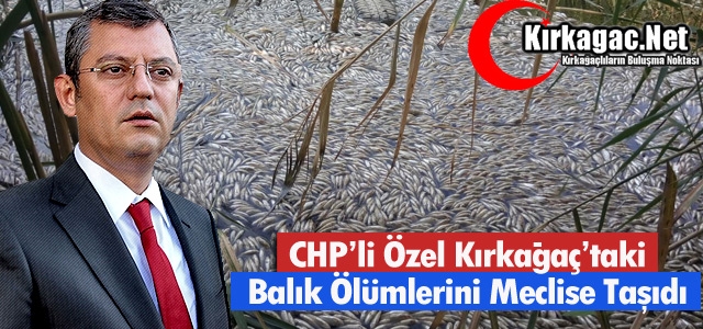 ÖZEL, KIRKAĞAÇ’TAKİ TOPLU BALIK ÖLÜMLERİNİ MECLİS'E TAŞIDI