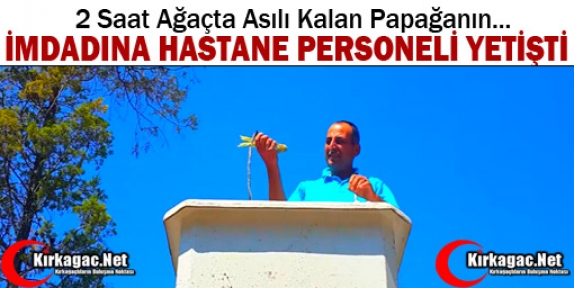 PAPAĞANIN İMDADINA HASTANE PERSONELİ YETİŞTİ