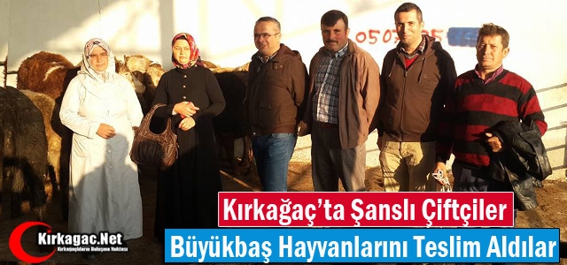 ŞANSLI ÇİFTÇİLER BÜYÜKBAŞ HAYVANLARINI TESLİM ALDILAR