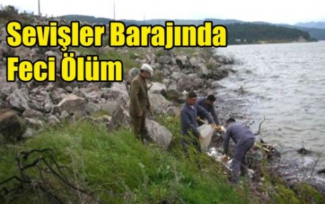 SEVİŞLER BARAJINDA FECİ ÖLÜM