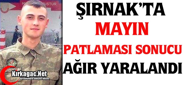 ŞIRNAK'TA MAYIN PATLAMASI SONUCU YARALANDI